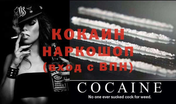 гидра Володарск
