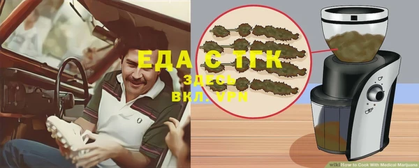 СК Волоколамск