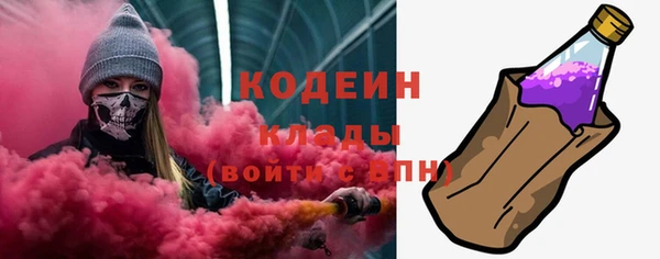 стаф Семилуки