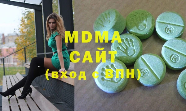 индика Вяземский