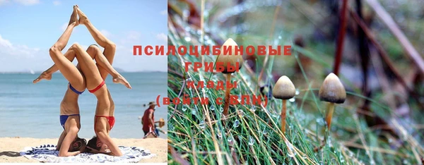круглые Верея