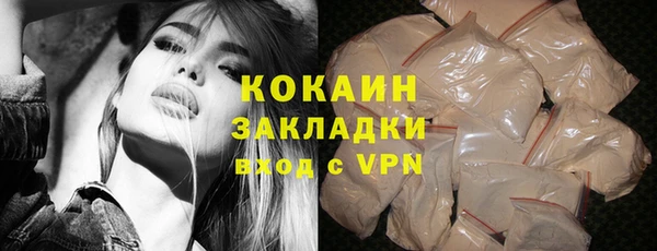 гидра Володарск