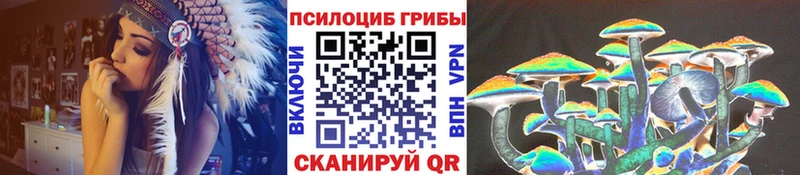 купить  сайты  Жирновск  Псилоцибиновые грибы мухоморы 
